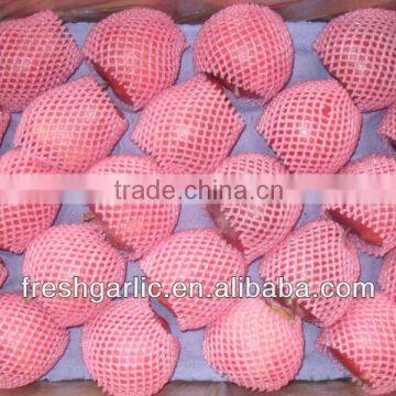 Famous China YanTai Best Price Fresh Fuji Apple photo-2