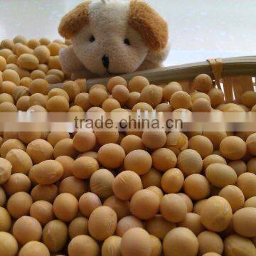 Organic Soya Beans( New Crop,Heilongjiang Origin) photo-4