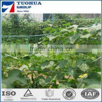 Big discount !!! Climbing Support Net for vegetable, fruit