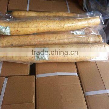 Hot sale yellow yam/Chinese yam