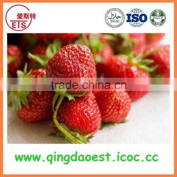 For Sale Best Quality Whole Fresh Strawberry