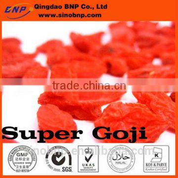 GMP KOSHER HALAL ISO BNP High Quality Chinese Red Dried Organic Goji Berry