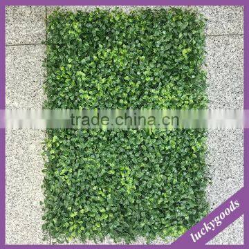 factory sale wall climbing artificial green grass wall for sale