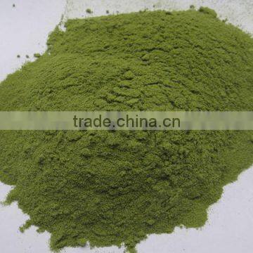 dehydrated spinach powder