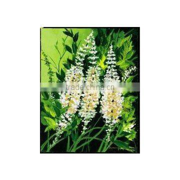 black cohosh extract powder-Jory