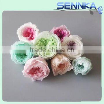 Luxurious Pink Color Austin Rose Preserved FlowerJapen Austin Roses photo-5