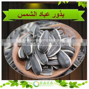 Hot Sell Big Size Long Shape 24/64 Sunflower Seeds 5009