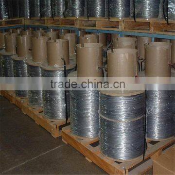 .com China Supplier Galvanized Wire/Stainless Steel Wire /durable Galvanized Wire photo-6
