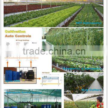 Nursery, hydroponics, NFT, hydroponic fodder and aeroponics for greenhouse production