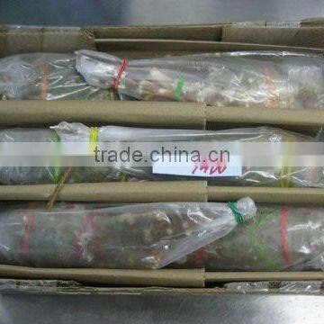 Frozen Raw Lobster Whole photo-2