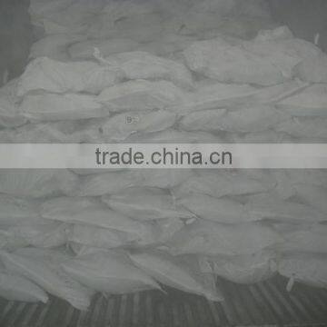 Thunnus Albacares photo-6