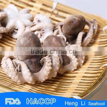HL0099 high quality price flowered baby octopus
