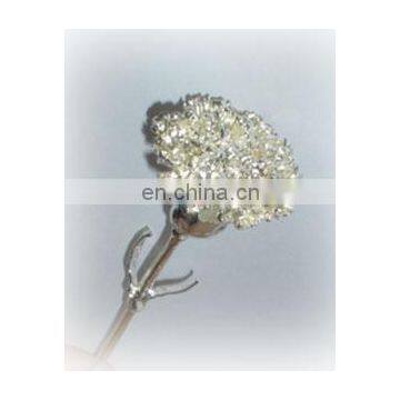 999 Silver Dipped Natural Carnation