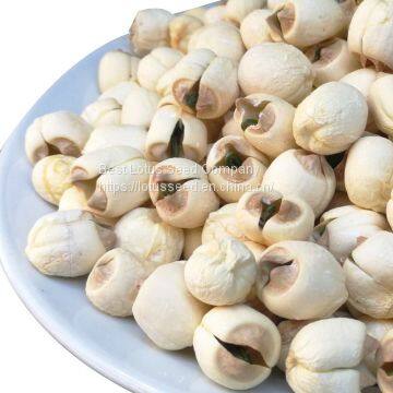 Lotus Seed Lotus Nut Lotus Kernel Dried Handmade White Lotus Seed With Core Plumule photo-4