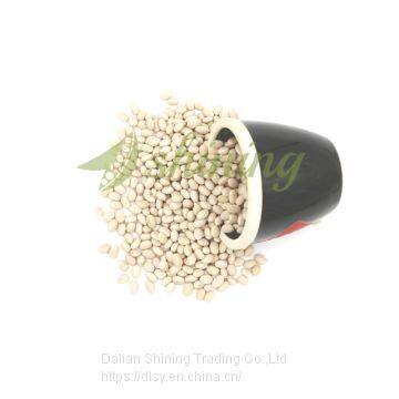 Navy Bean Small White Kidney Beans Haricot Beans
