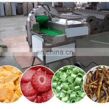 Commercial Onion Slicer Industrial Vegetable Cutting Machine photo-2