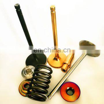 Intake Exhaust Engine Valves Springs Parts For Citroen C8 C5 C25 1.8 2.0 Tu5j Tu5jp4 XM7T XN1T EW12J4 0948A1 91510548 91520847