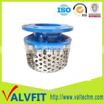 Ductile Iron Rose Strainer flange