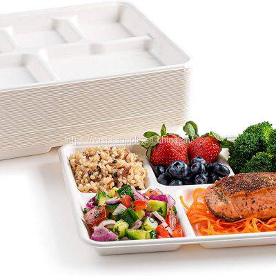 Biodegradable Sturdy Leak-proof Microwave Safe Bagasse 5-compartment Trays for Family Gatherings photo-2