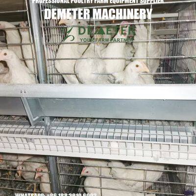 Layer Chicken Breeding Cage photo-5
