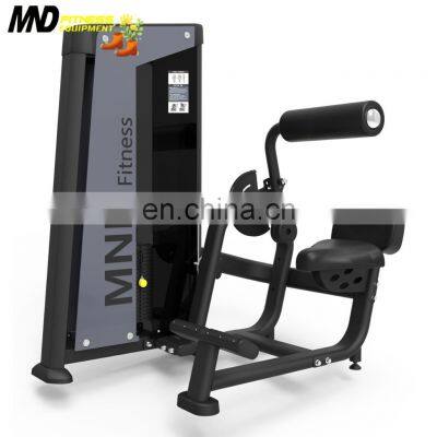 Discount Plate Discount commercial gym use fitness sports workout FH31 Back Extension Equipment GYM