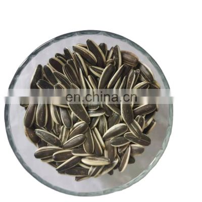 big extra large sunflower seeds strip white and black toasted sunflower seeds