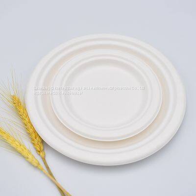 Disposable Plate, Degradable Thickened Paper Plate, Eco-friendly Tableware, Birthday Cake Plate, Heatable Pulp Dinner Plate, Picnic Plate photo-3