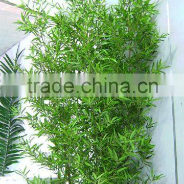 Trees Plant Type mini ornamental bamboo leaves artificial bamboo plants artificial bamboo                        
                                                Quality Choice