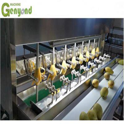 Hot Selling Mango Skin Peeling Machinery/Mango Peeler Machinery