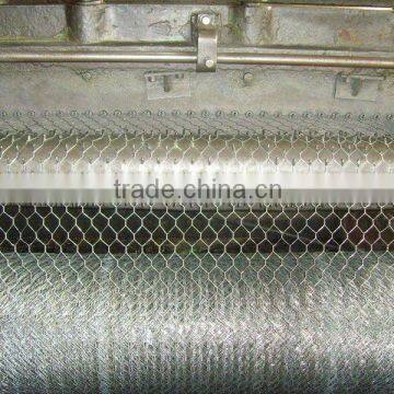 Hhexagonal Wire mesh