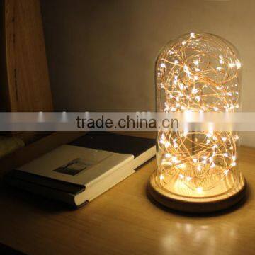 Wholesale 2016 new items mini led string light bottle fairy light                        
                                                                Most Popular
                                                    Supplier's Choice