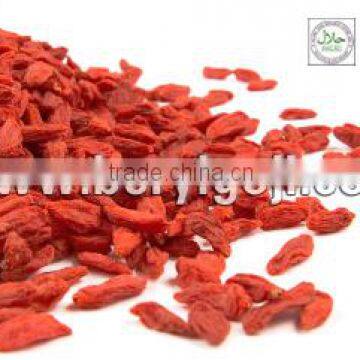 2015 new harvest dried goji berry for regulating Blood Fat