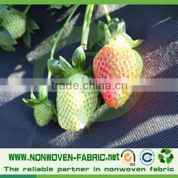 100% Virgin Polypropylene Spunbonded Nonwoven Fabric, Agricuture Material