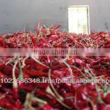 Dry Red Chilli S334 photo-3