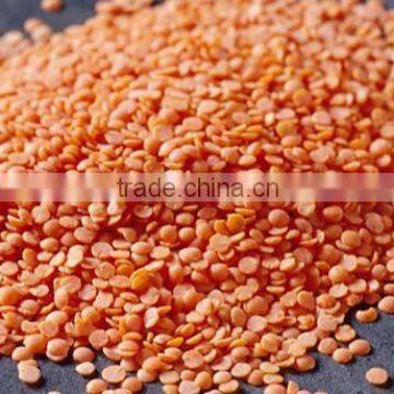 2016 Canadian Red Lentils