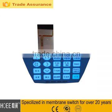 [HOEE] Customized el Backlight Membrane Switch photo-2