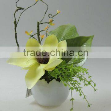 wedding occasion decorating flower moth orchid