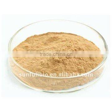 40% Polysaccharides (UV-VIS) Oyster Mushroom Extract Powder