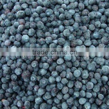 Bulk Wholesale Blueberry photo-5