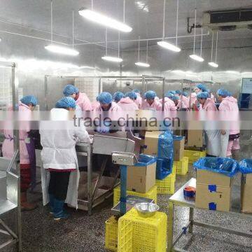 Frozen Strawberry photo-3