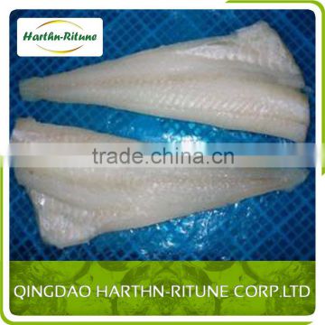 Frozen Pacific Hake Fillet