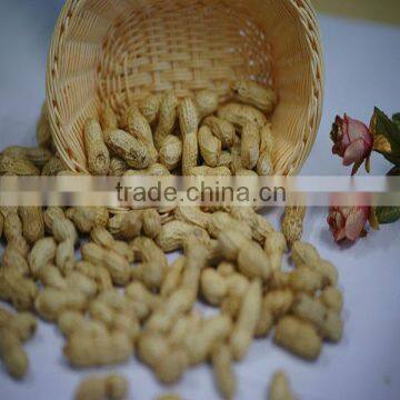 top quality raw washed peanut 2014