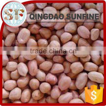 Red skin raw peanuts kernel