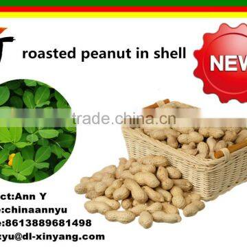 Good Salted Roasted Peanut in Shell photo-3