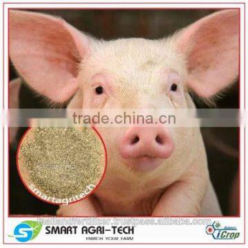 Dry Acacia Leaves powder for animal feeding or dairy cows chicken pig feeding