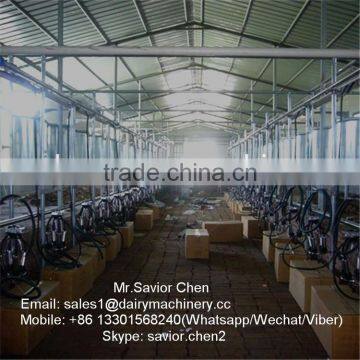 Dairy Farm Automatic Milking System , Milking Parlor For Cow