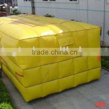 recsue cushion