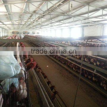 best factory price chicken layer battery cage for 120 chickens