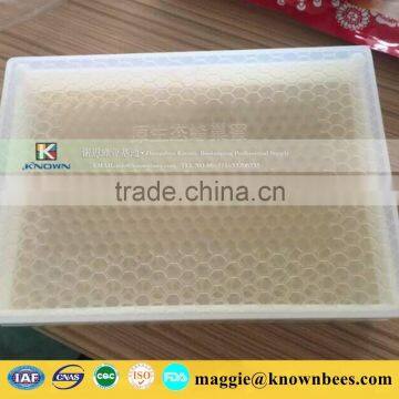 Nature 100% Pure Plastic Box Packing Comb Honey photo-6