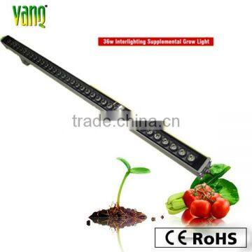36W LED Grow Bar Light With Bridgelux Chip Full Spectrum Hydroponic Cultivation photo-2